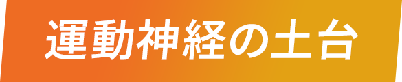運動神経の土台
